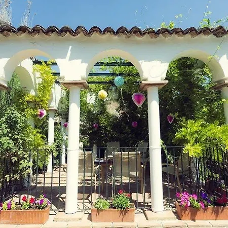 Molino Del Santo Benaojan